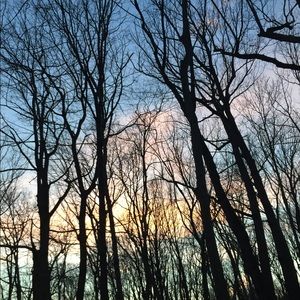 Meet your Posher, Connor